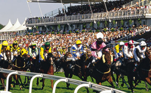 Goodwood Racecourse